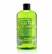 Гель для душа освежающий кактус cucumber cactus cool Bath & shower gel, 500 мл